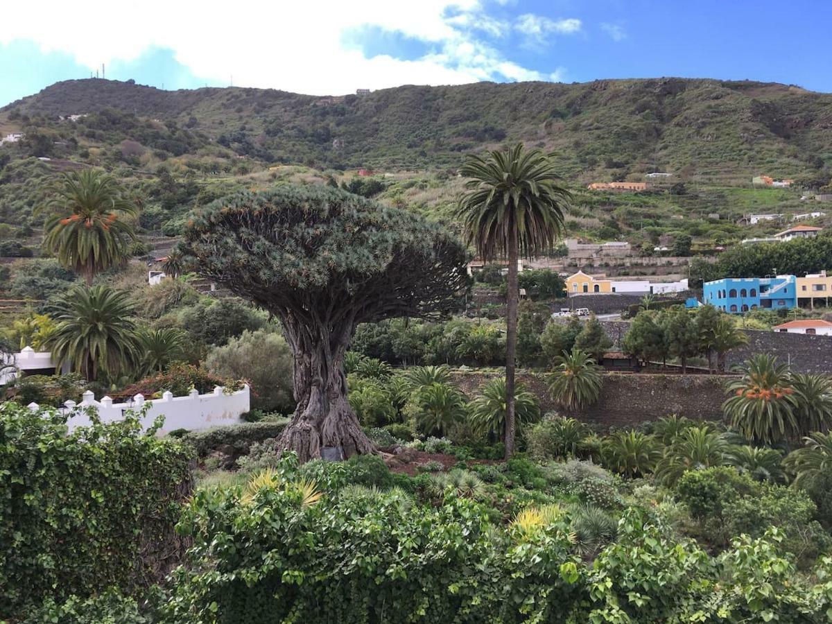 #Ocean View Studio #Wifi 伊科德·德·洛斯·维诺斯 外观 照片
